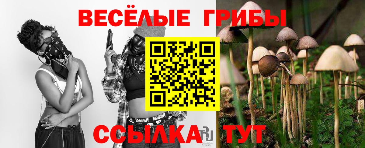 купить закладку  Вход с VPN  Ярославль  Галлюциногенные грибы MAGIC MUSHROOMS  Псилоцибиновые грибы Psilocybe 